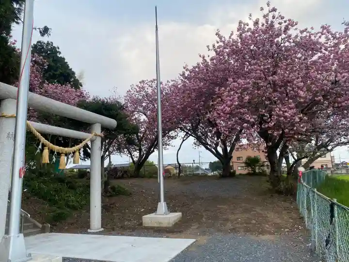 台渡里八幡神社の{uncategorized: "未分類", other: "その他", undefined: "問題あり", building: "その他建物", grave: "お墓", sacred_gate: "鳥居", guardian: "狛犬", statue: "像", buddha: "仏像", history: "歴史", nature: "自然", garden: "庭園", animal: "動物", pagoda: "塔", temizu: "手水舎", mountain_gate: "山門・神門", sanctuary: "本殿・本堂", subordinate: "末社・摂社", art: "芸術", scenery: "景色", jizo: "地蔵", ema: "絵馬", goshuin: "御朱印", omikuji: "おみくじ", items: "授与品その他", amulet: "お守り", goshuincho: "御朱印帳", eats: "食事", festival: "お祭り", votive_dance: "神楽", shichigosan: "七五三参", wedding: "結婚式", experience: "体験その他", initially: "初詣", around: "周辺", anti_infection: "感染症対策"}