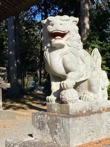 冨士御室浅間神社の狛犬