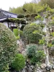 見性寺の建物その他