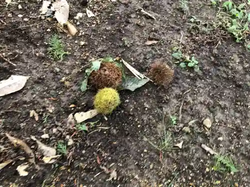 菅田神社(兵庫県)