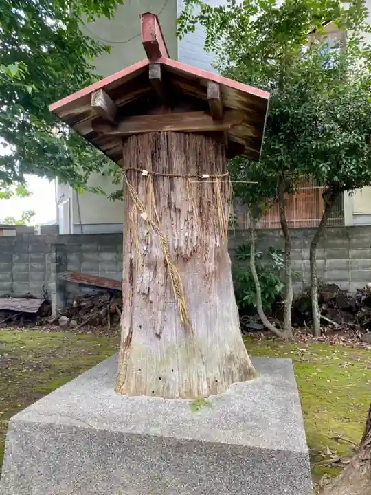 朝日神社の自然