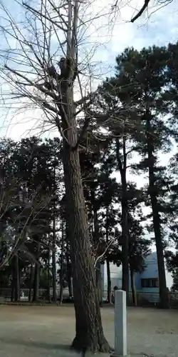 住吉神社の自然