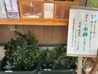 坪沼八幡神社(宮城県)