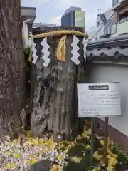 神田神社（神田明神）の建物その他