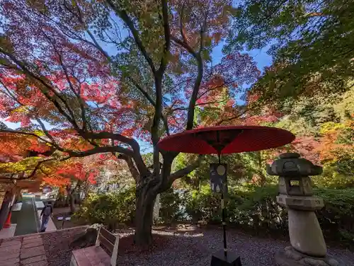 鎌倉宮の庭園