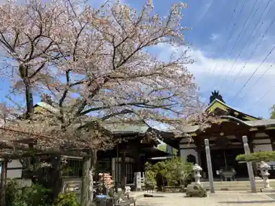 林光寺(神奈川県)