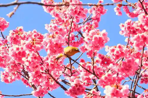 荏原神社(東京都)