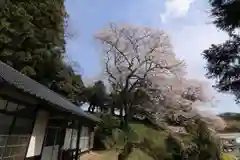 高木神社の自然