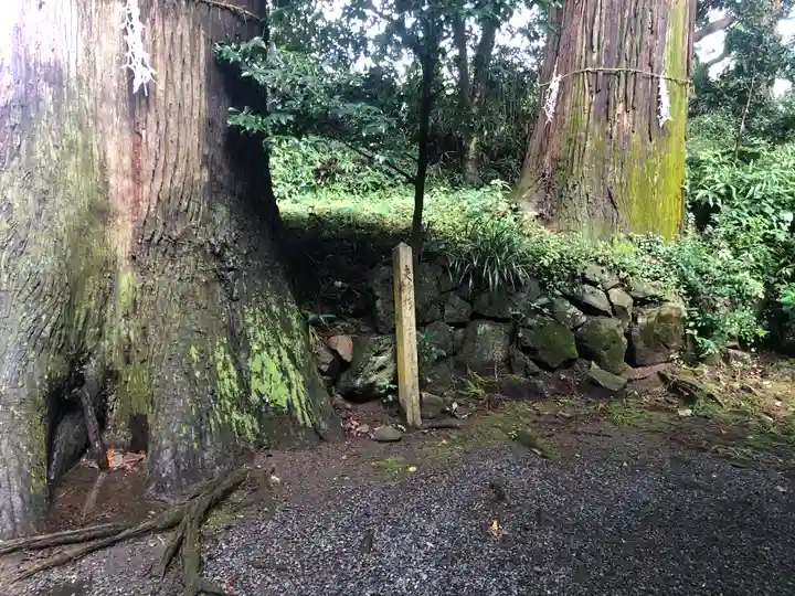高森阿蘇神社の自然