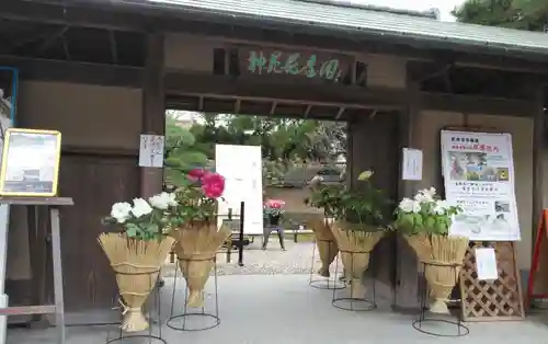 筥崎宮の山門