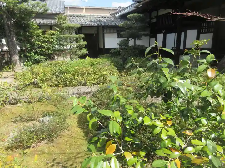 金臺寺(金台寺)(京都府)