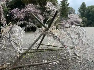 栃木縣護國神社の{uncategorized: "未分類", other: "その他", undefined: "問題あり", building: "その他建物", grave: "お墓", sacred_gate: "鳥居", guardian: "狛犬", statue: "像", buddha: "仏像", history: "歴史", nature: "自然", garden: "庭園", animal: "動物", pagoda: "塔", temizu: "手水舎", mountain_gate: "山門・神門", sanctuary: "本殿・本堂", subordinate: "末社・摂社", art: "芸術", scenery: "景色", jizo: "地蔵", ema: "絵馬", goshuin: "御朱印", omikuji: "おみくじ", items: "授与品その他", amulet: "お守り", goshuincho: "御朱印帳", eats: "食事", festival: "お祭り", votive_dance: "神楽", shichigosan: "七五三参", wedding: "結婚式", experience: "体験その他", initially: "初詣", around: "周辺", anti_infection: "感染症対策"}