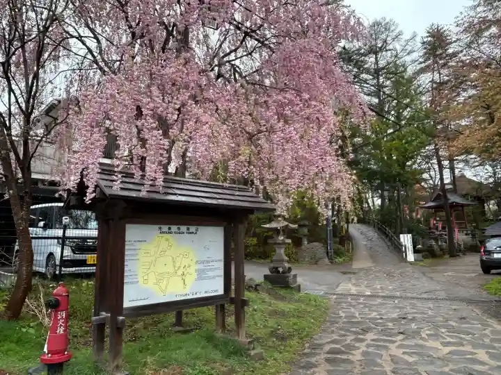 光泉寺の{uncategorized: "未分類", other: "その他", undefined: "問題あり", building: "その他建物", grave: "お墓", sacred_gate: "鳥居", guardian: "狛犬", statue: "像", buddha: "仏像", history: "歴史", nature: "自然", garden: "庭園", animal: "動物", pagoda: "塔", temizu: "手水舎", mountain_gate: "山門・神門", sanctuary: "本殿・本堂", subordinate: "末社・摂社", art: "芸術", scenery: "景色", jizo: "地蔵", ema: "絵馬", goshuin: "御朱印", omikuji: "おみくじ", items: "授与品その他", amulet: "お守り", goshuincho: "御朱印帳", eats: "食事", festival: "お祭り", votive_dance: "神楽", shichigosan: "七五三参", wedding: "結婚式", experience: "体験その他", initially: "初詣", around: "周辺", anti_infection: "感染症対策"}