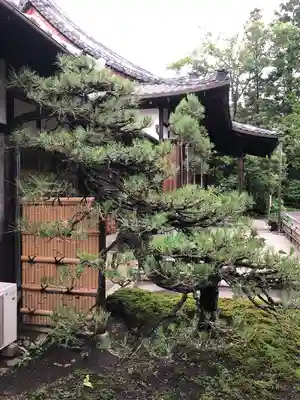 頼光寺(兵庫県)