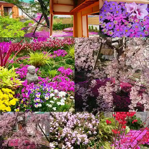 寿量山　速成寺の自然