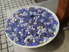 行田八幡神社の手水