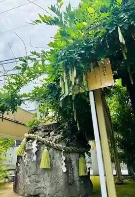 總社 和田八幡宮(福井県)