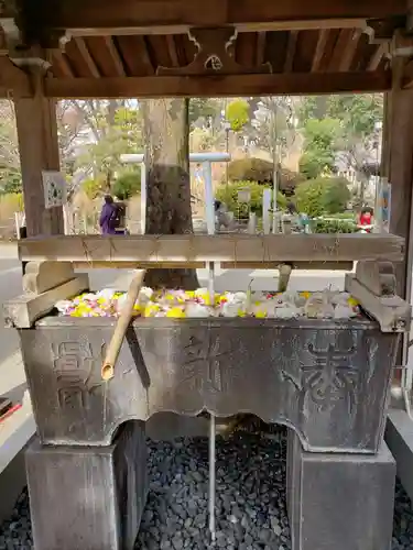 鳩森八幡神社の手水舎