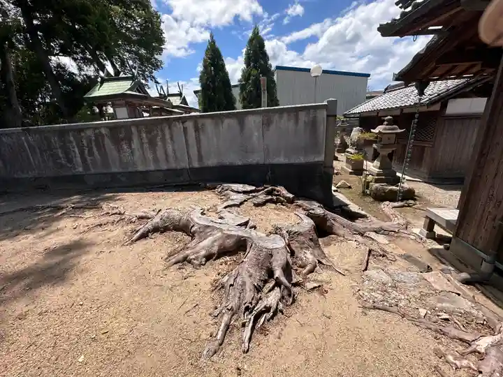 八坂神社(奈良県)