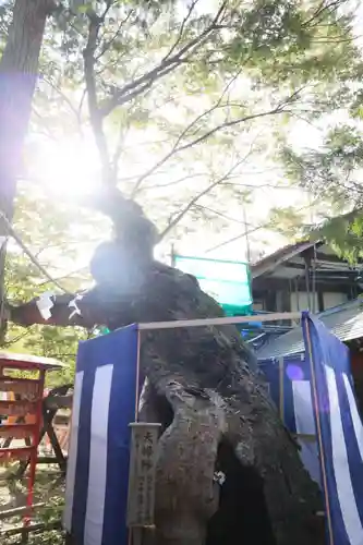 生島足島神社の自然