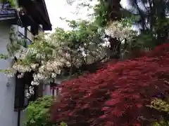 浄心寺(愛知県)