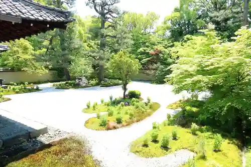 廬山寺（廬山天台講寺）の庭園