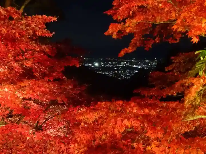 大山寺(神奈川県)