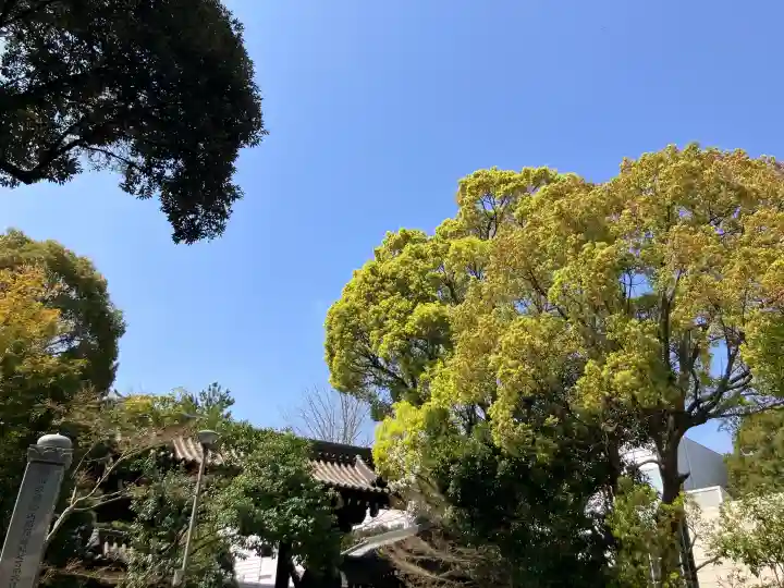 総持寺の{uncategorized: "未分類", other: "その他", undefined: "問題あり", building: "その他建物", grave: "お墓", sacred_gate: "鳥居", guardian: "狛犬", statue: "像", buddha: "仏像", history: "歴史", nature: "自然", garden: "庭園", animal: "動物", pagoda: "塔", temizu: "手水舎", mountain_gate: "山門・神門", sanctuary: "本殿・本堂", subordinate: "末社・摂社", art: "芸術", scenery: "景色", jizo: "地蔵", ema: "絵馬", goshuin: "御朱印", omikuji: "おみくじ", items: "授与品その他", amulet: "お守り", goshuincho: "御朱印帳", eats: "食事", festival: "お祭り", votive_dance: "神楽", shichigosan: "七五三参", wedding: "結婚式", experience: "体験その他", initially: "初詣", around: "周辺", anti_infection: "感染症対策"}