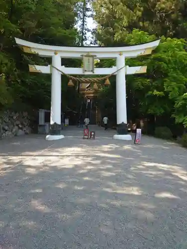 宝登山神社(埼玉県)
