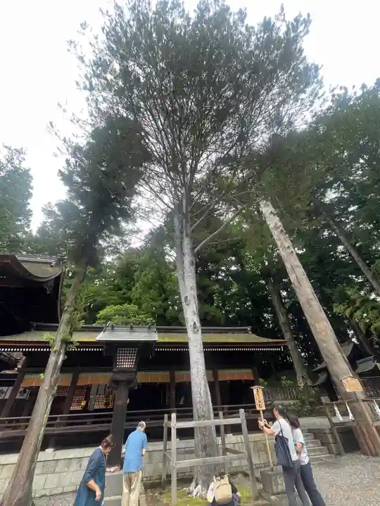 諏訪大社下社秋宮(長野県)