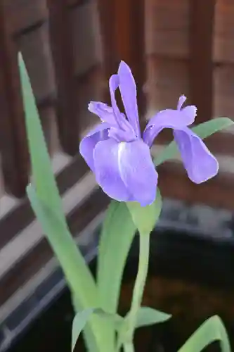 正泉寺(神奈川県)