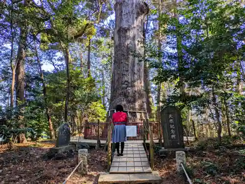 麻賀多神社の自然