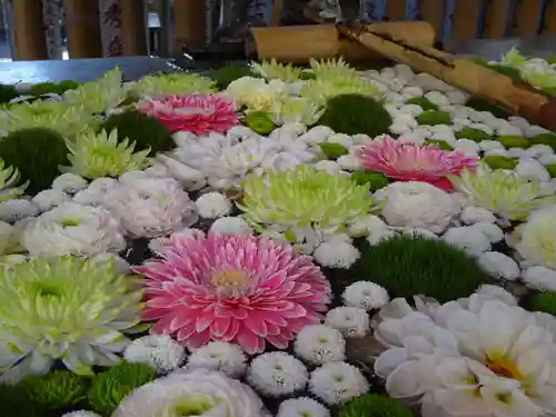 高円寺氷川神社の手水舎