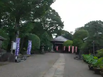 観音寺(埼玉県)