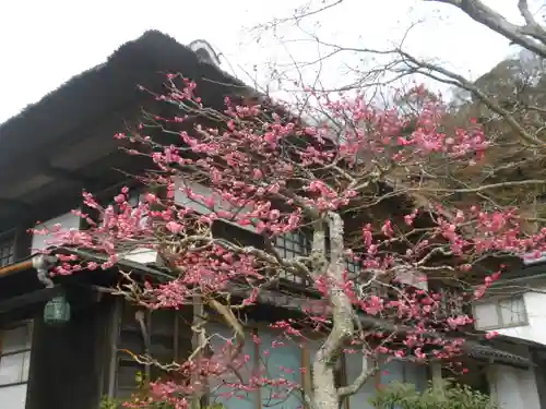 海蔵寺のその他建物