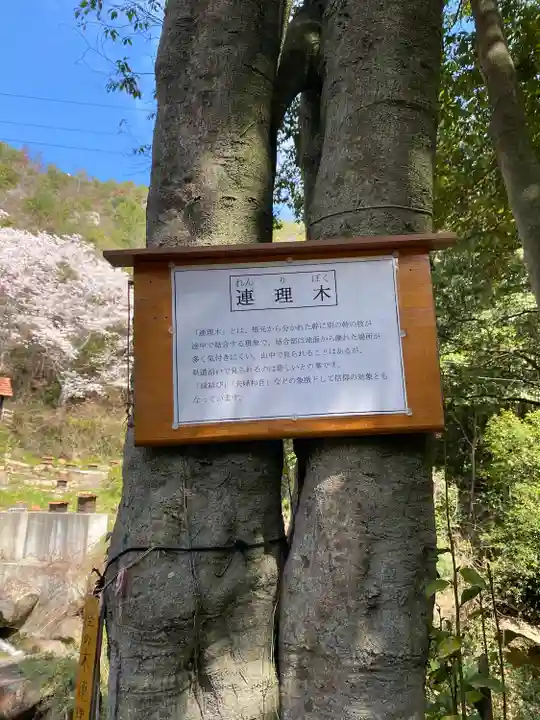 早瀧比咩神社の自然