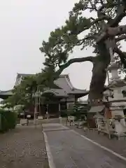 大慶寺の本殿