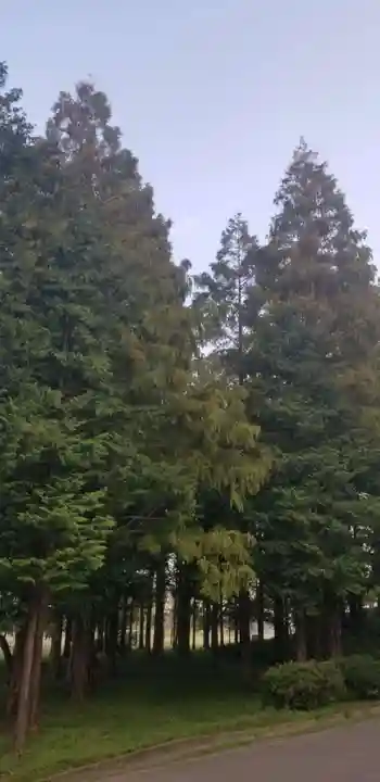 日枝神社(東京都)