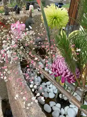 水堂須佐男神社(兵庫県)