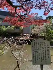 生田神社の庭園