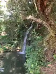 出雲大社北島国造館 出雲教の自然