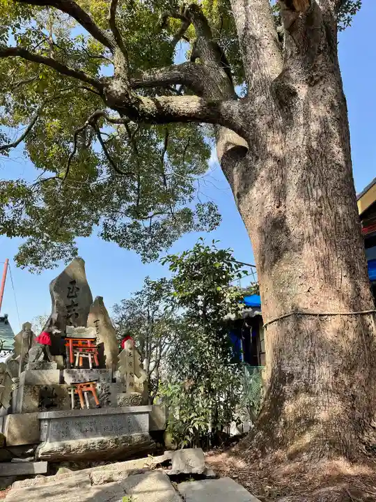 伏見稲荷本教間力教会(京都府)