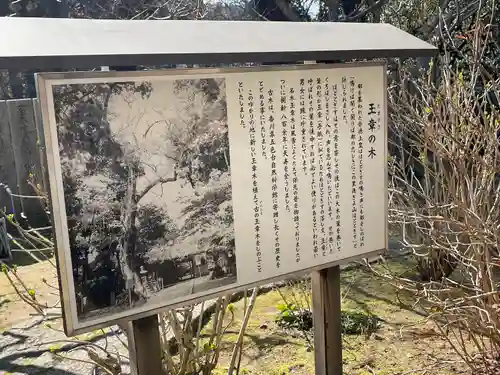 白峯寺(香川県)