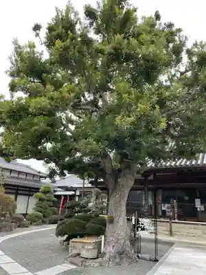 多聞寺(兵庫県)