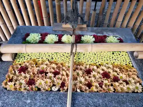 高円寺氷川神社(東京都)