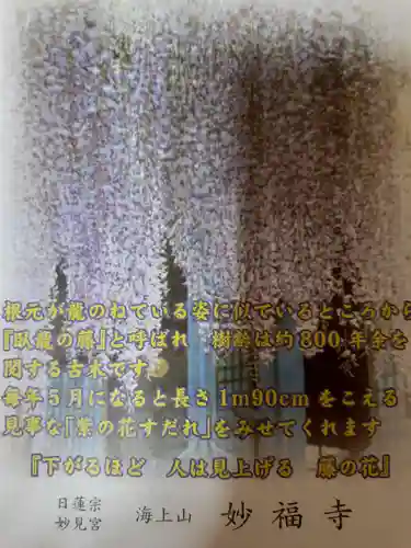 妙福寺(千葉県)