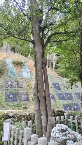 月読神社（松尾大社摂社）の自然