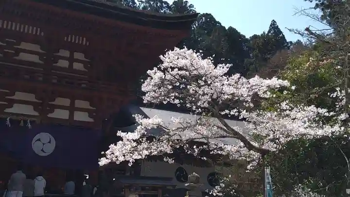 丹生都比売神社(和歌山県)