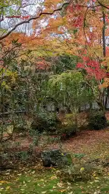 蓮華寺（洛北蓮華寺）(京都府)