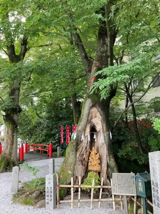 秩父今宮神社(埼玉県)